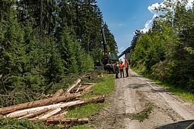 Harvester Loipe Pflege Fichtelgebirge