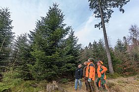 Christbaum Deutsche Bortschaft Prag