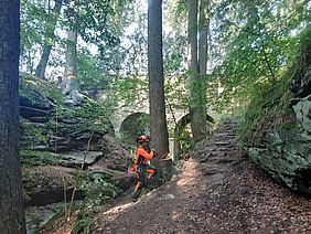 Teufelsloch Forstwirt Bayerische Staatsforsten Forstbetrieb Nordhalben Wald