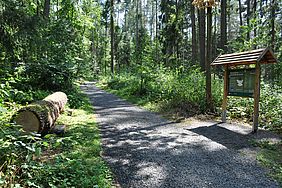 Forchheim Bamberg Bruderwald