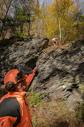 Fichtelberg Freistellung Felsen