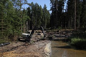 Sanierung Feuchtbiotop Hirschgrund