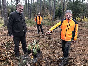 Bayerische Staatsforsten Forstbetrieb Burglengenfeld Klimawald