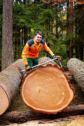 Bayerische Staatsforsten Forstbetrieb Fichtelberg Himmelkron Wertholz