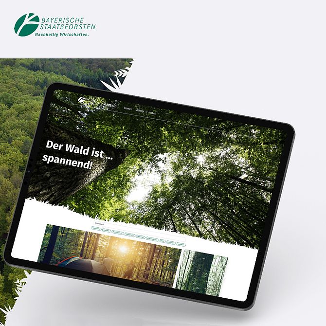 Bayerische Staatsforsten Onlineshop Webshop Waldshopt