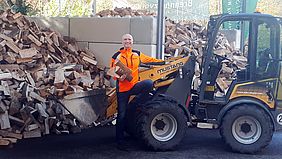 Brennholz Scheitholz Bayerische Staatsforsten Forstbetrieb Freising Kaminholz