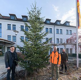 Bayerische Staatsforsten Forstbetrieb Fichtelberg Christbaum