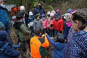 Bayerische Staatsforsten Baumwipfelpfad Steigerwald 