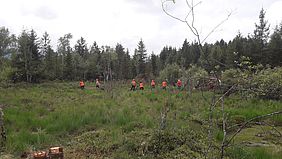 Moor, Natuschutz, Bergwaldprojekt