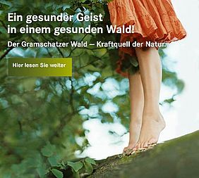 Person steht auf einem Ast