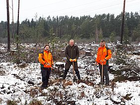 Bayerische Staatsforsten Forstbetrieb Allersberg Klimawald