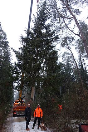 Weihnachtbaum Bruck Weihnachtsmarkt