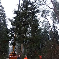 Weihnachtbaum Bruck Weihnachtsmarkt