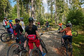 Wald bewegt Deutsche Waldtage 2018