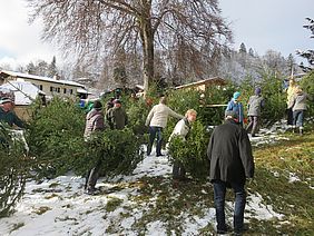 Christbaum Verkauf Weihnachtsmarkt Berchtesgaden