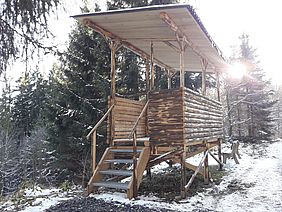 Aussichtspunkt Bayerische Staatsforsten Wald Kollerhag