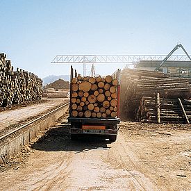 Holzlieferung "Frei-Werk"