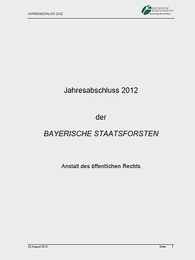 Jahresabschluss Geschäftsjahr2012