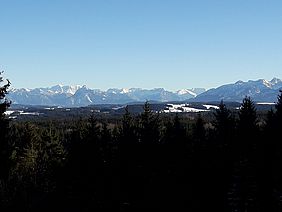 Aussicht Kempter Wald Füssen Staatsforsten Forstbetrieb Sonthofen