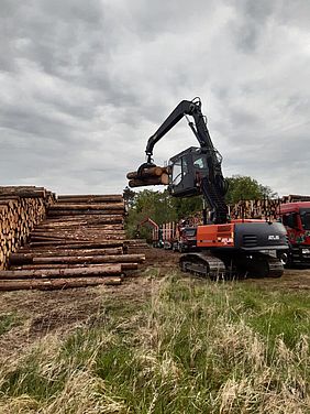 Nasslager Holzpolter Staatsforsten Wald Holz
