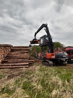 Nasslager Holzpolter Staatsforsten Wald Holz