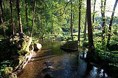 Steinachklamm