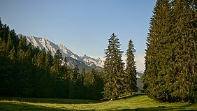 Alpenblick vom Naturfriedhof
