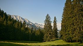 Alpenblick vom Naturfriedhof