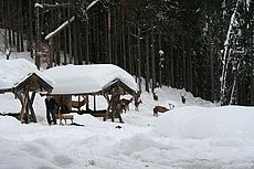 Wintergatter Spitzingsee