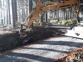 Grabenbagger Pflege Waldweg