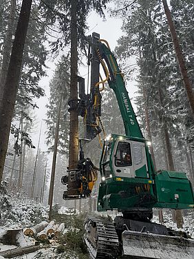 Harvester mit Baumhalter, Bayerische Staatsfor, moderne Techniksten, Forstbetrieb Schnaittenbach