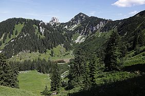 Bayerische Staatsforsten Schliersee Wald Staatswald Wanderung