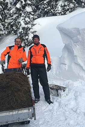 Winter Fütterung Rotwild Schnee Chaos Januar 2019