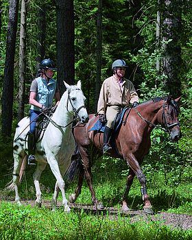 Reiten im Wald Reiten im Wald