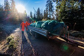 Forstbetrieb Fichtelberg, Bayerische Staatsforsten