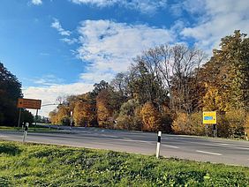 Verkehrssicherungsmaßnahmen Holzernte Bayerische Staatsforsten