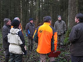 Planungsbesprechung im Wald