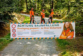 Baumfällung, Wegesperrung 