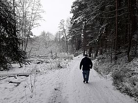 Bayerische Staatsforsten Forstbetrieb Schnaittenbach Holzernte