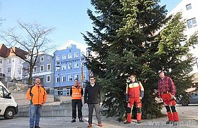 Bayerische Staatsforsten Forstbetrieb Bodenmais Christbaum Regen