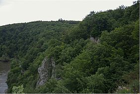 Weltenburger Enge Holzfällung Naturschutz 