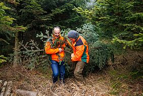 Forstbetrieb Fichtelberg, Landratsamt Wunsiedel, 