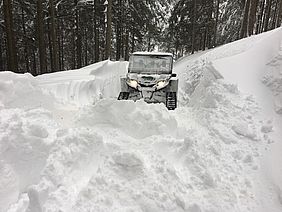 Winter Fütterung Rotwild Schnee Chaos Januar 2019