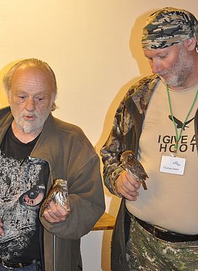 Sperlingskauz am Forstbetrieb Forchheim