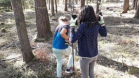Bayerische Staatsforsten Klimawald Pflanzaktion Forstbetrieb Schnaittenbach