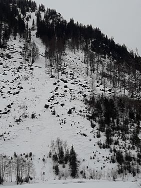 Bayerische Staatsforten Forstbetrieb Sonthofen Schutzwald 