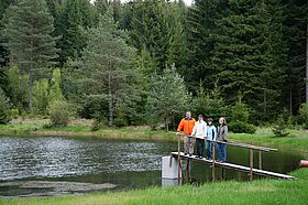 Zigeunerweiher