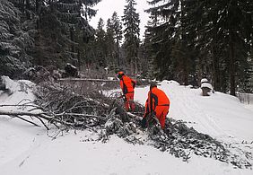 Langlauf Loipen Fichtelgebirge freiräumen