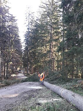 Bayerische Staatsforsten Forstbetrieb Sonthofen Absperrung