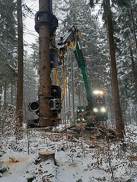 Harvester mit Baumhalter, Bayerische Staatsforsten, Forstbetrieb Schnaittenbach